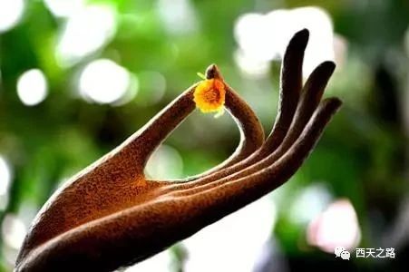 布施供养，是存钱的最佳方式，且 “利息”很高