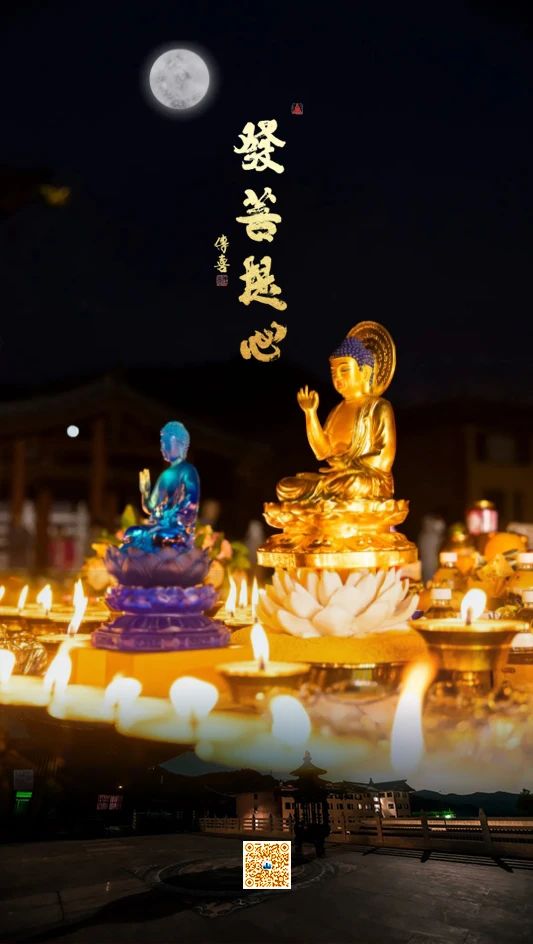 只要发起了菩提心，就......