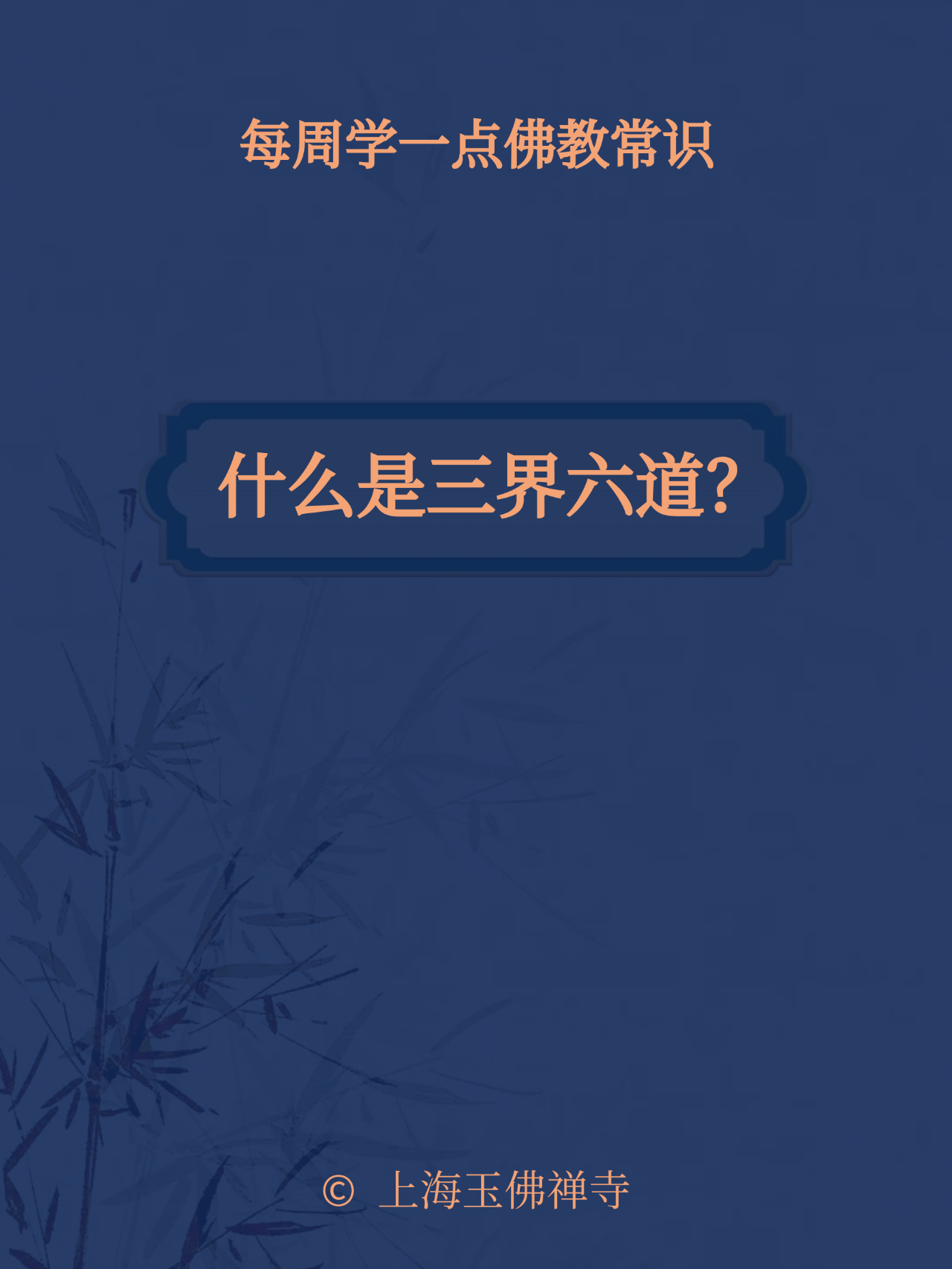 作为三界六道中的一员，你准备如果过自己的人生