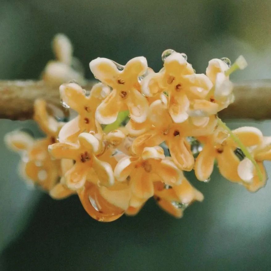 在更高的文明高度上去思维人生