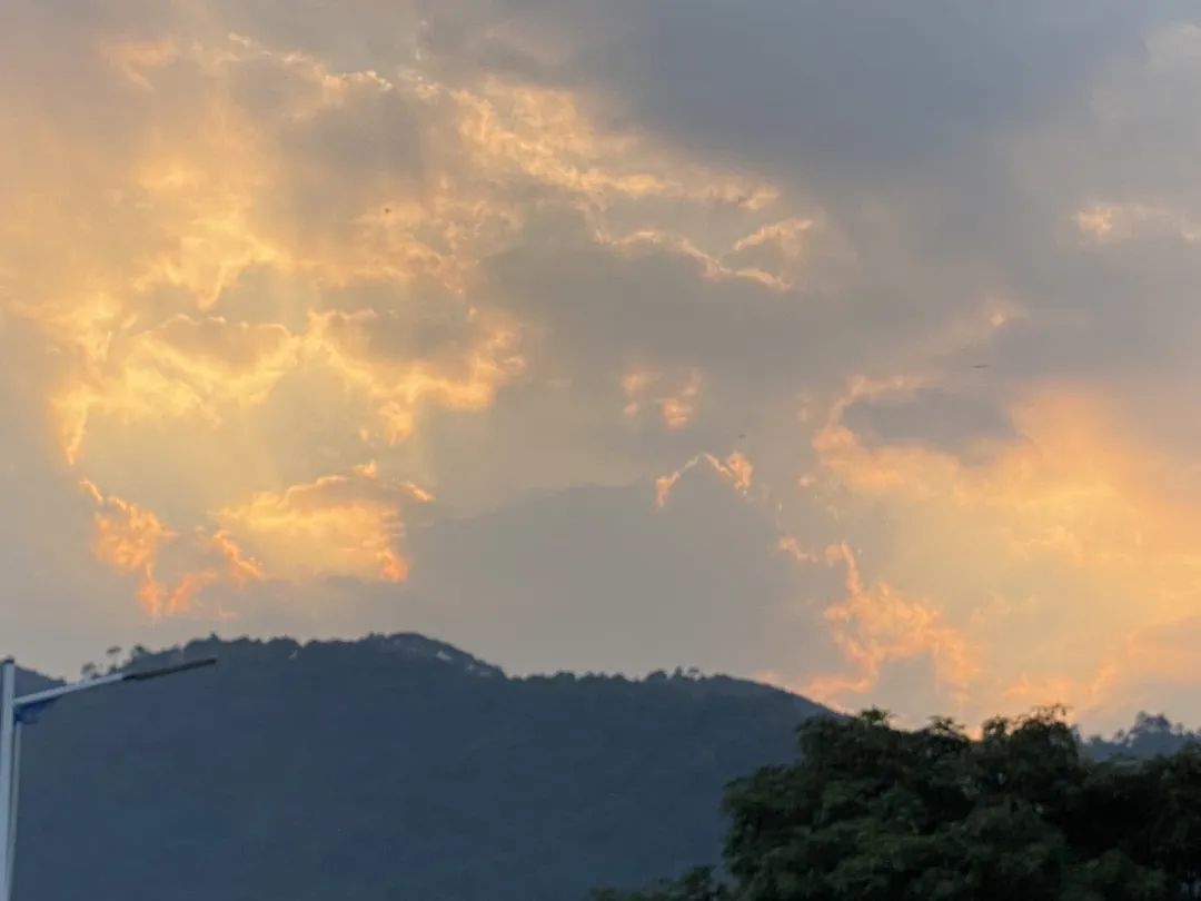 大愿法师：怎样去活在当下？