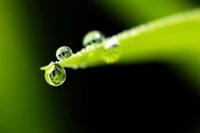 大愿法师：怎样去活在当下？