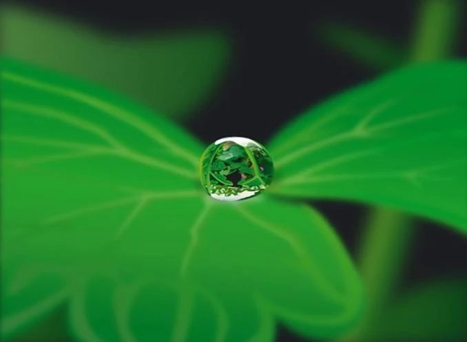 大愿法师：怎样去活在当下？