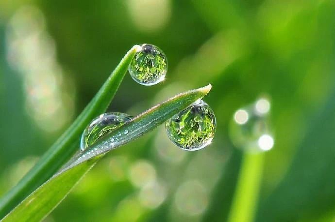 大愿法师：怎样去活在当下？