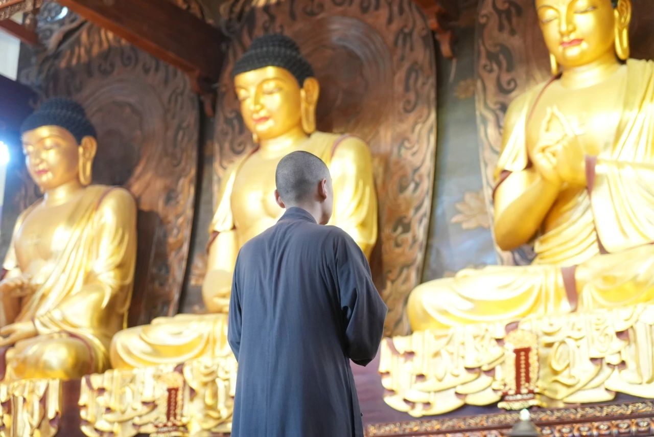 佛学知识丨食素的五重境界，你都知道吗？