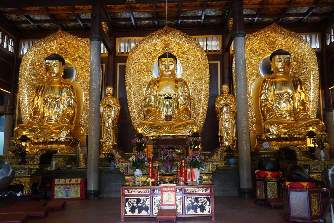 佛学知识丨食素的五重境界，你都知道吗？