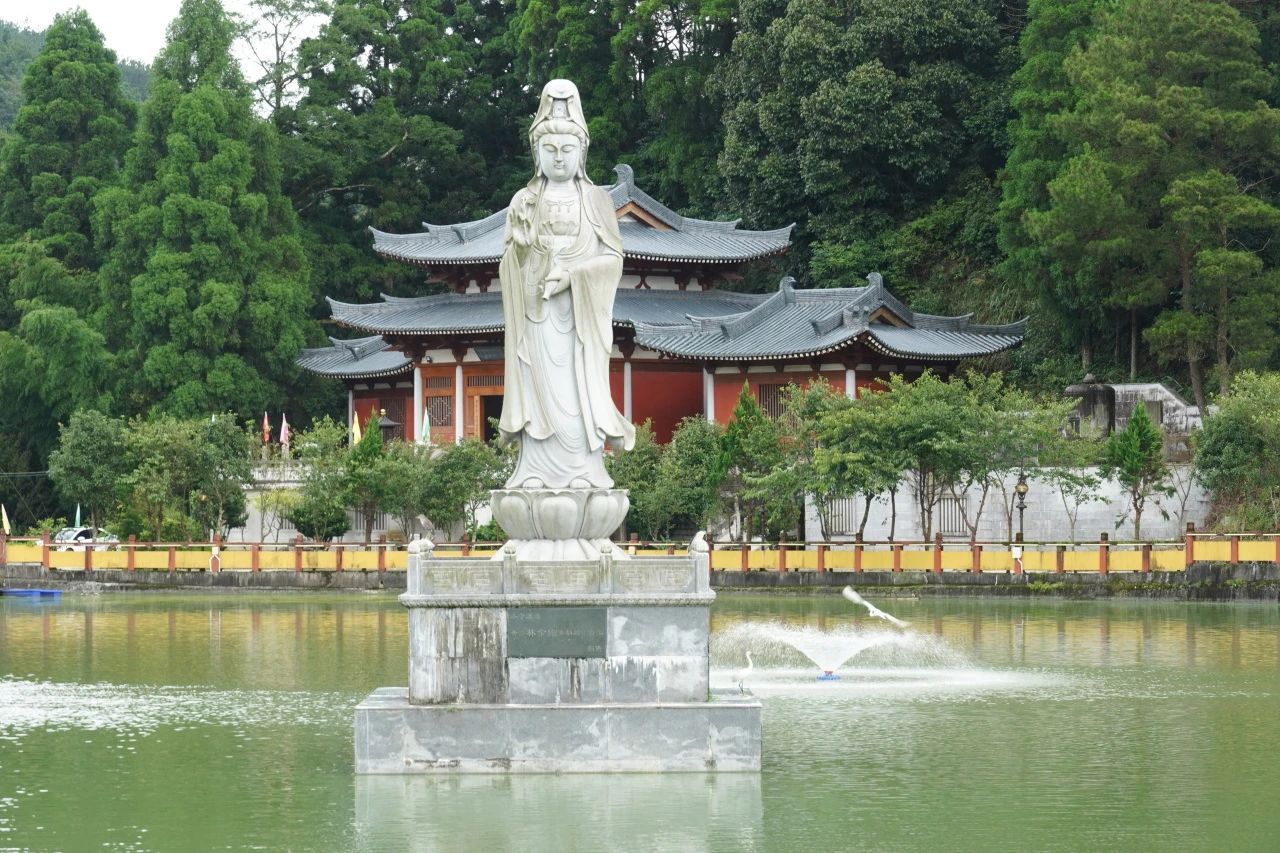 佛学知识丨食素的五重境界，你都知道吗？