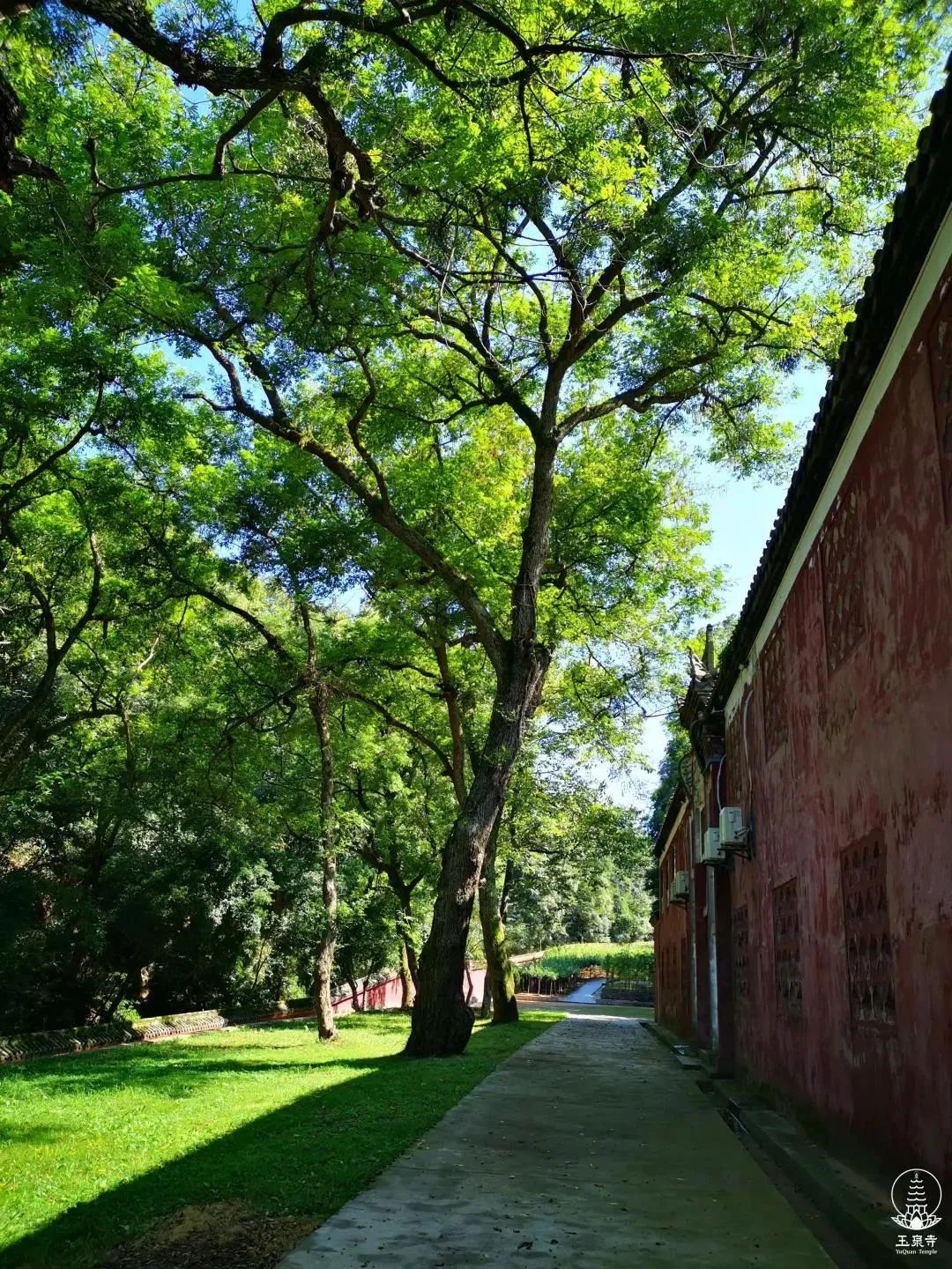 从判教看太虚大师的人生佛教思想