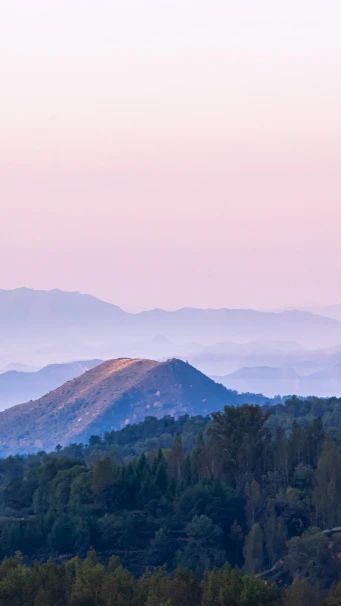 佛法，要真修实学