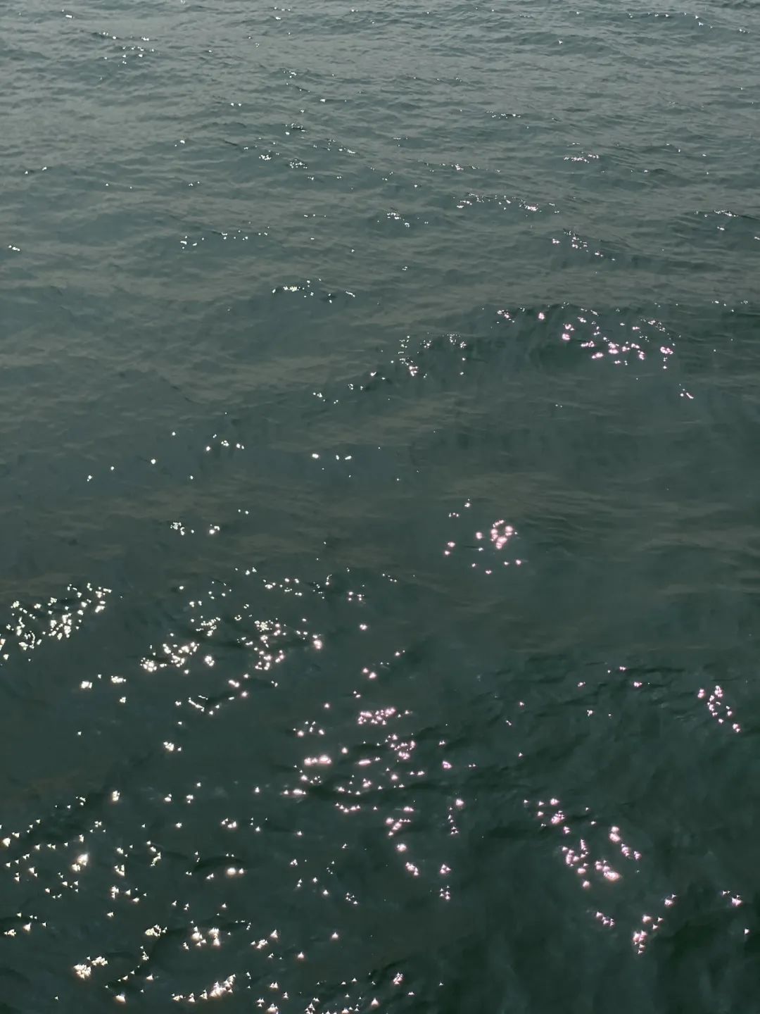 要能够经常服用心理上的四君子