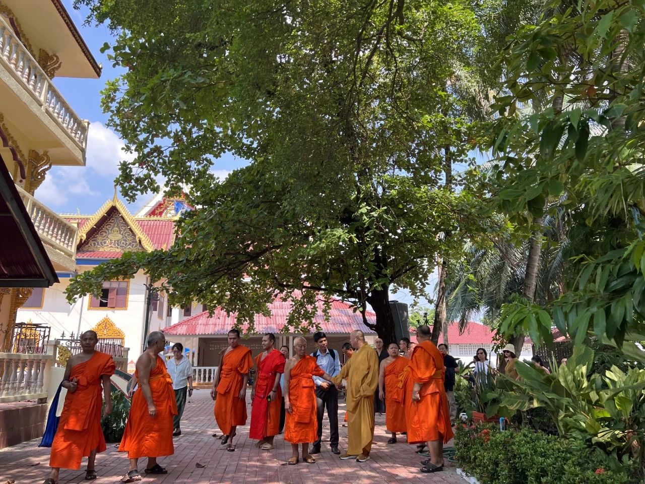 万象更新秋光好 命运与共谱新篇