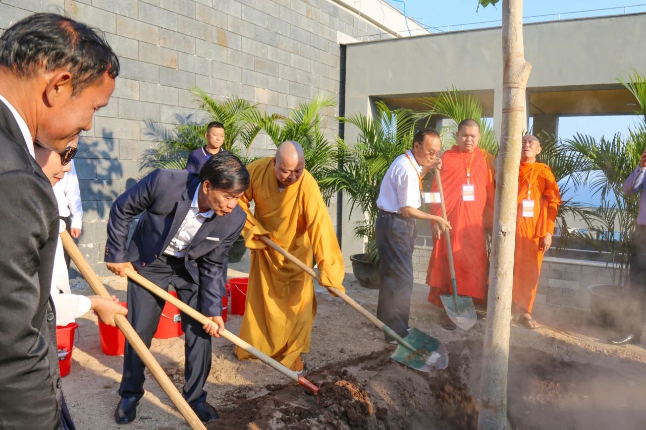 万象更新秋光好 命运与共谱新篇