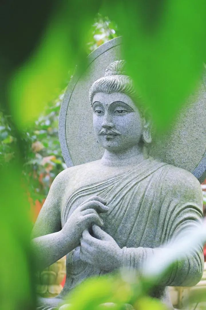 把“业力”的生命转化为“愿力”的生命