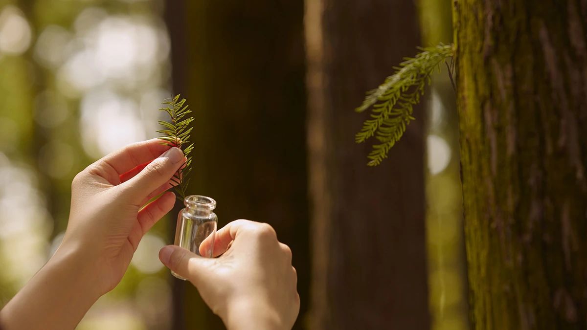 心愚法师：阿赖耶识是像一个灵魂一样，在六道中来回跑吗？