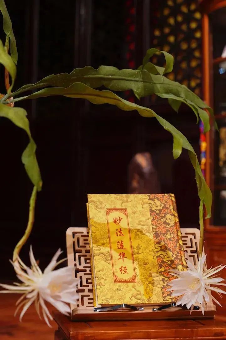 这，才是佛陀认为的具有完美品格的人