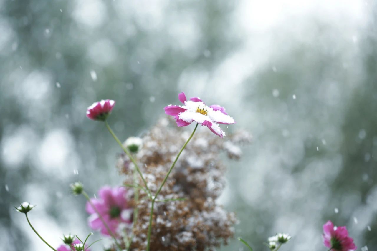 这，才是佛陀认为的具有完美品格的人