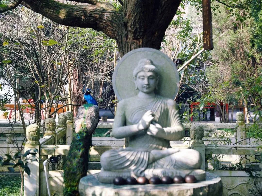 这，才是佛陀认为的具有完美品格的人