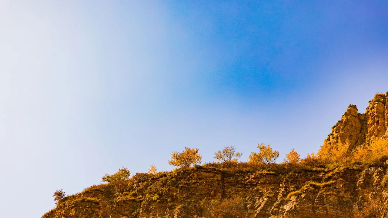 这，才是佛陀认为的具有完美品格的人