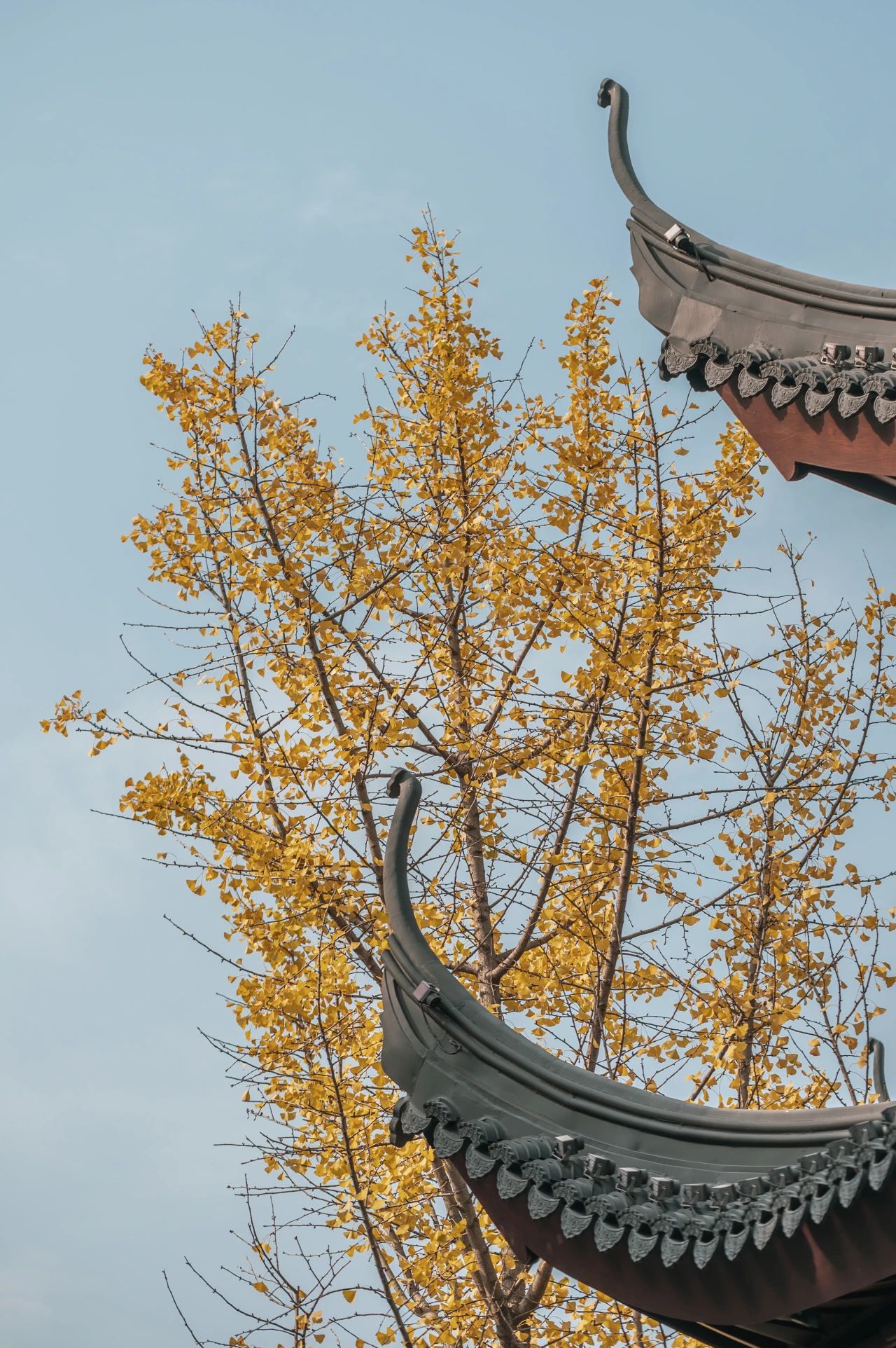 无常，恰恰是寻常