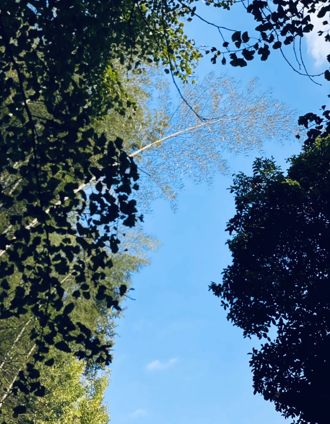 一天之中如何对治贪瞋痴？