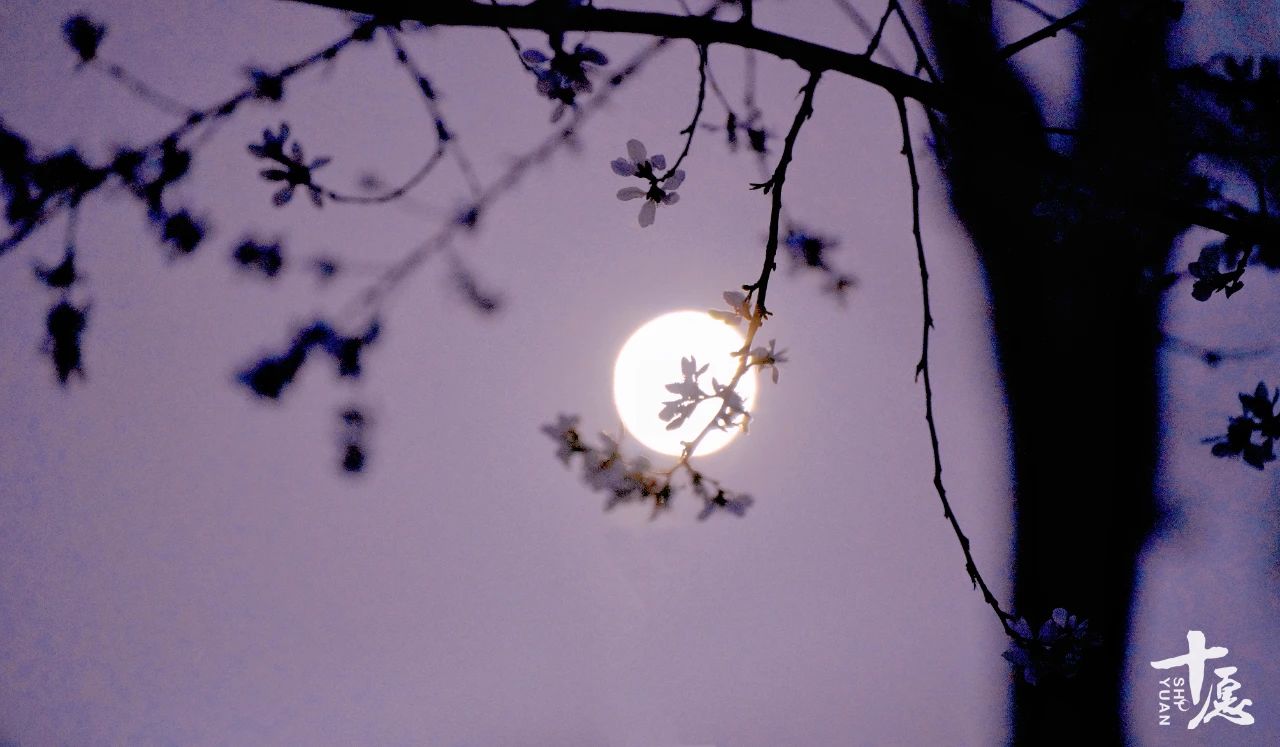 居士能接受供养吗？智敏上师：以法致富，你受不起