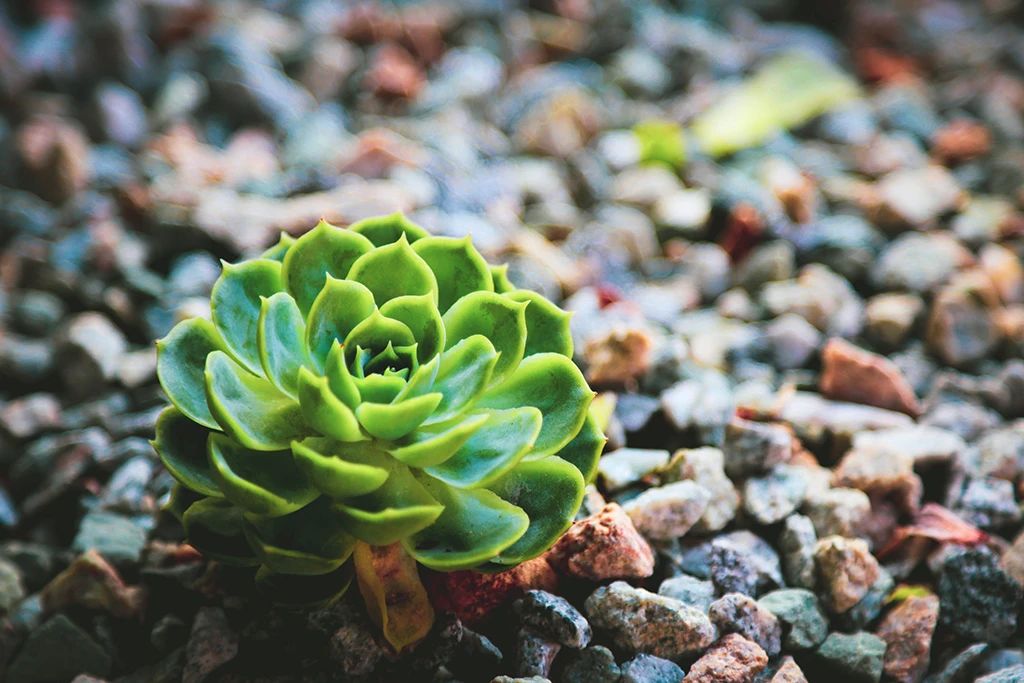 你的傲慢，你看得到吗？