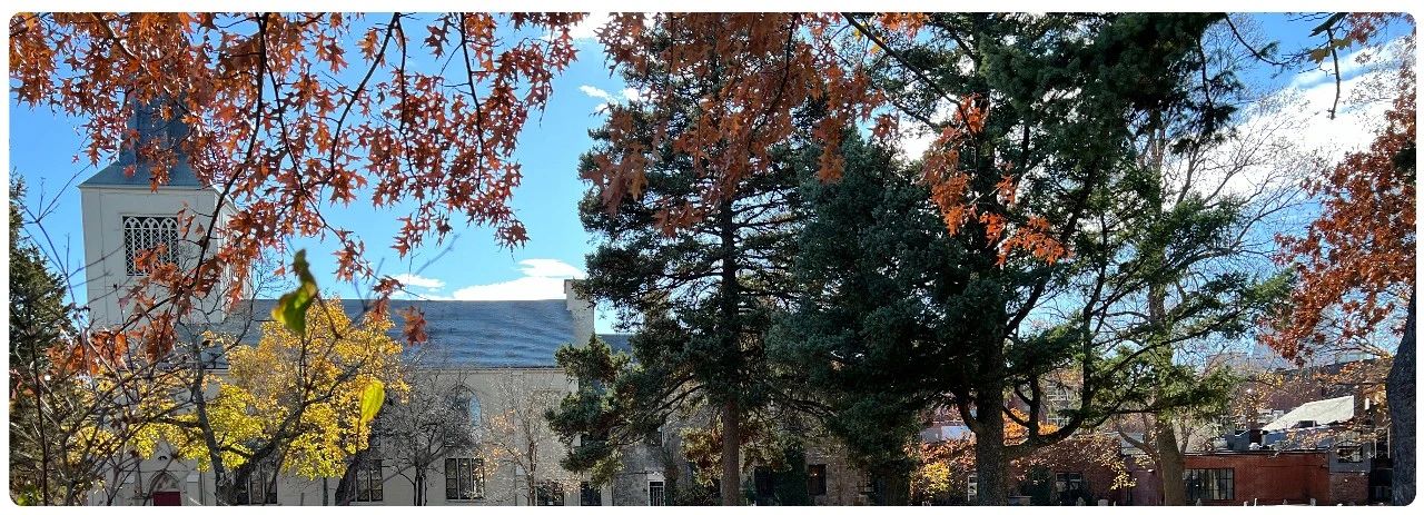 禅的真相是摧毁我们对“现实”的执着