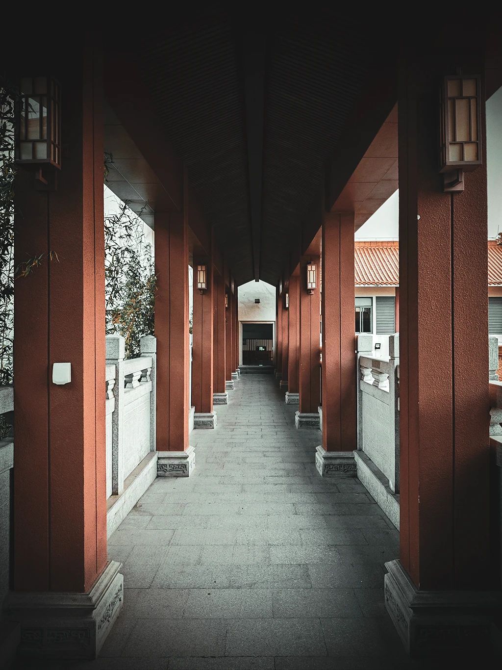 或许，我的处境并不算最糟糕