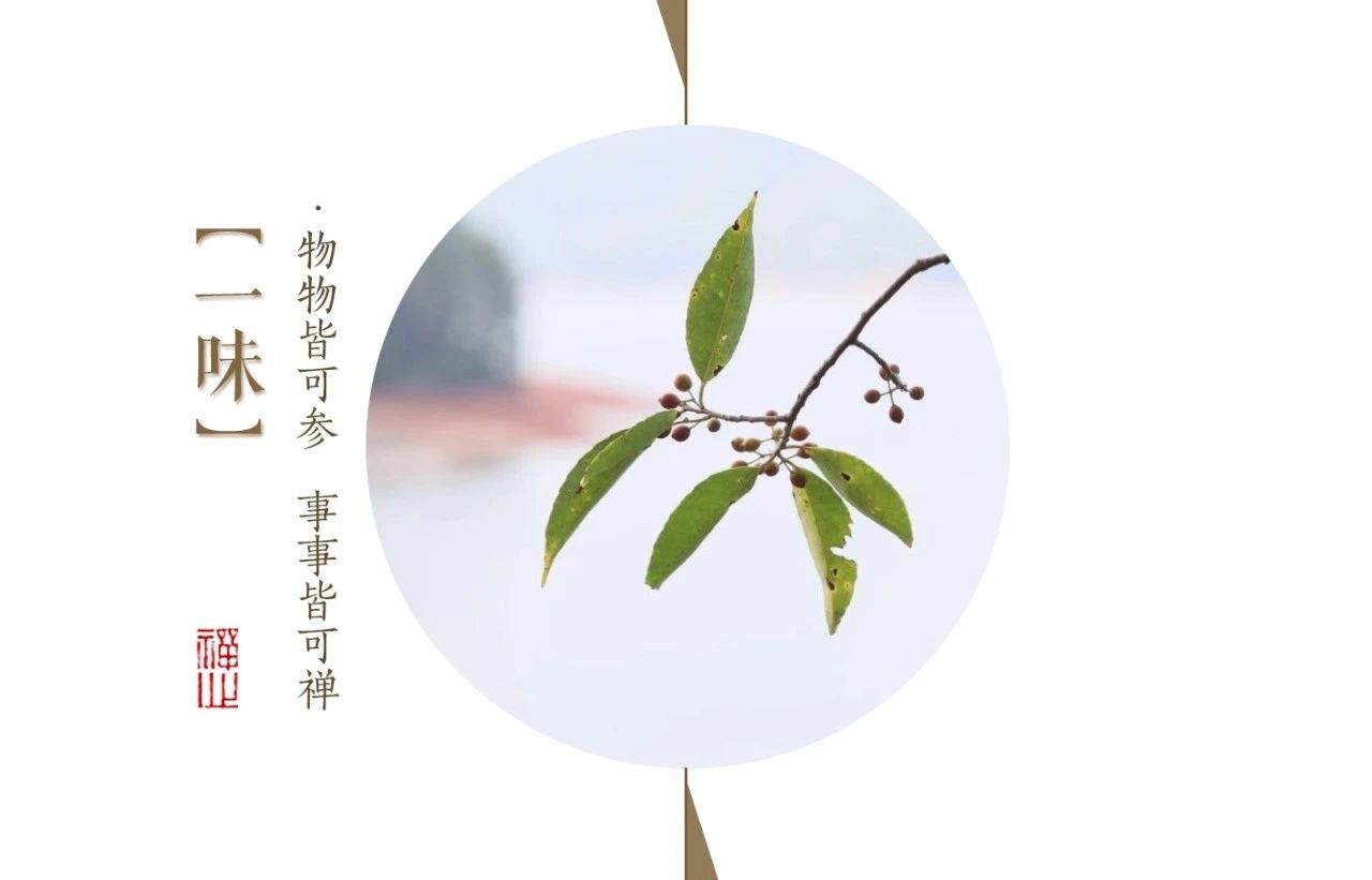 济群法师：经常这样做，走到哪里都受欢迎