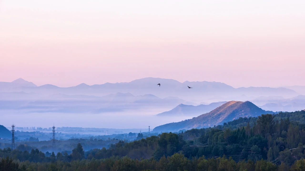 法性大海，万象不生