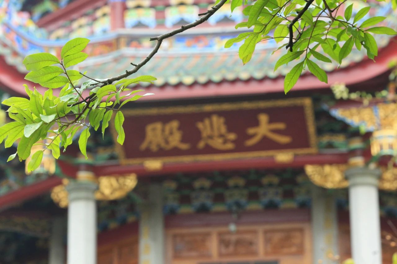 华山法师：太虚大师成长路上的关键法缘助力者