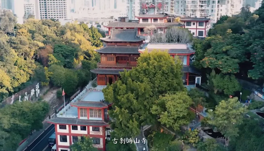 本性法师：爱国侨僧慈航法师的光辉岁月