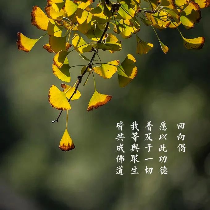 善用其心：弃贪瞋痴 蠲除罪法