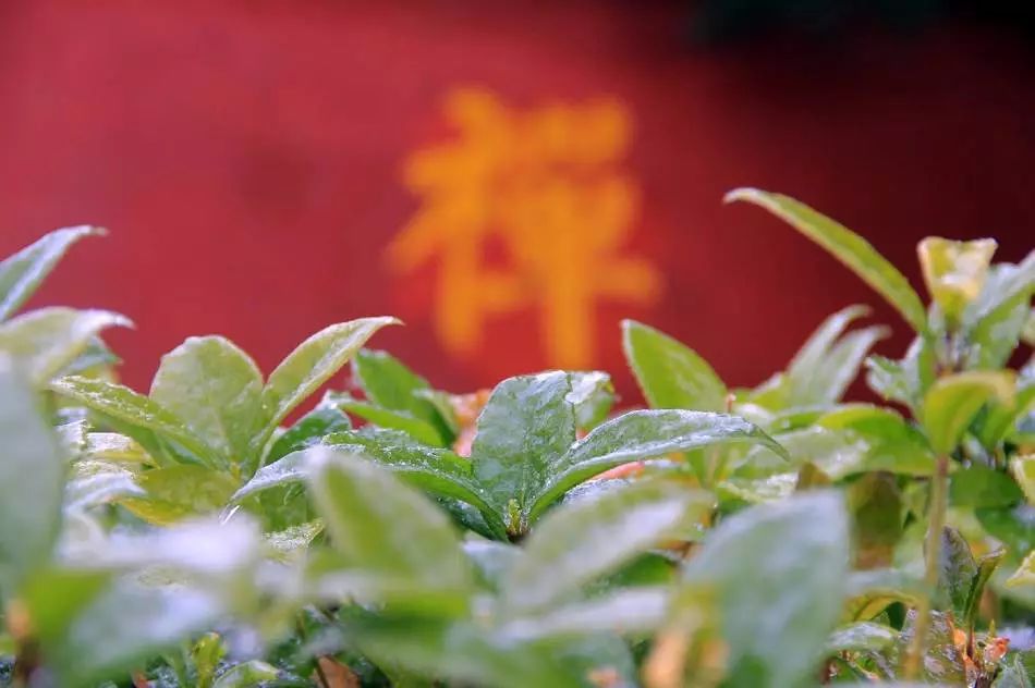 屠夫如何做功德？不同职业功德操作手册