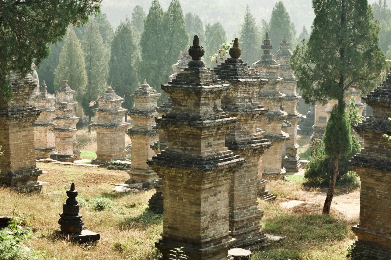 说对了口头禅，也是一种修行