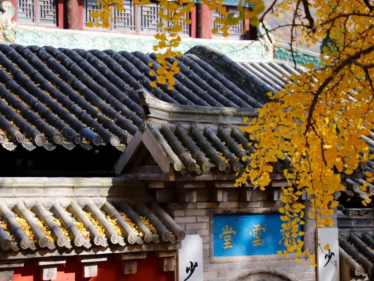 说对了口头禅，也是一种修行