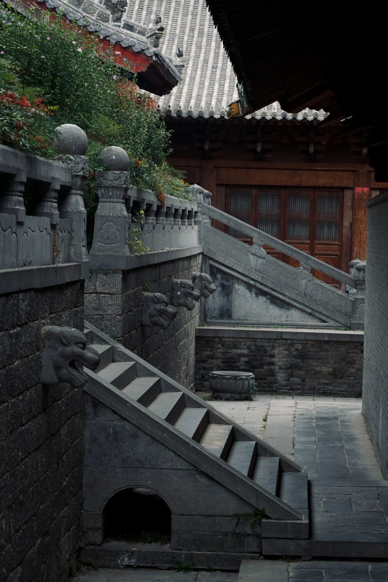 说对了口头禅，也是一种修行