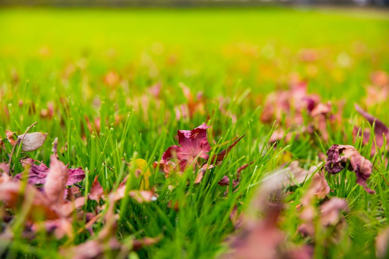该止损时止损，就是一种善