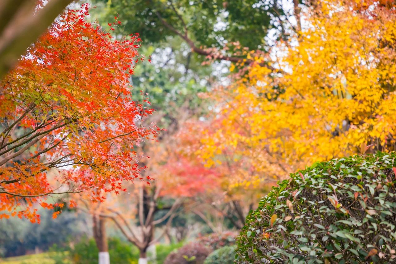 该止损时止损，就是一种善