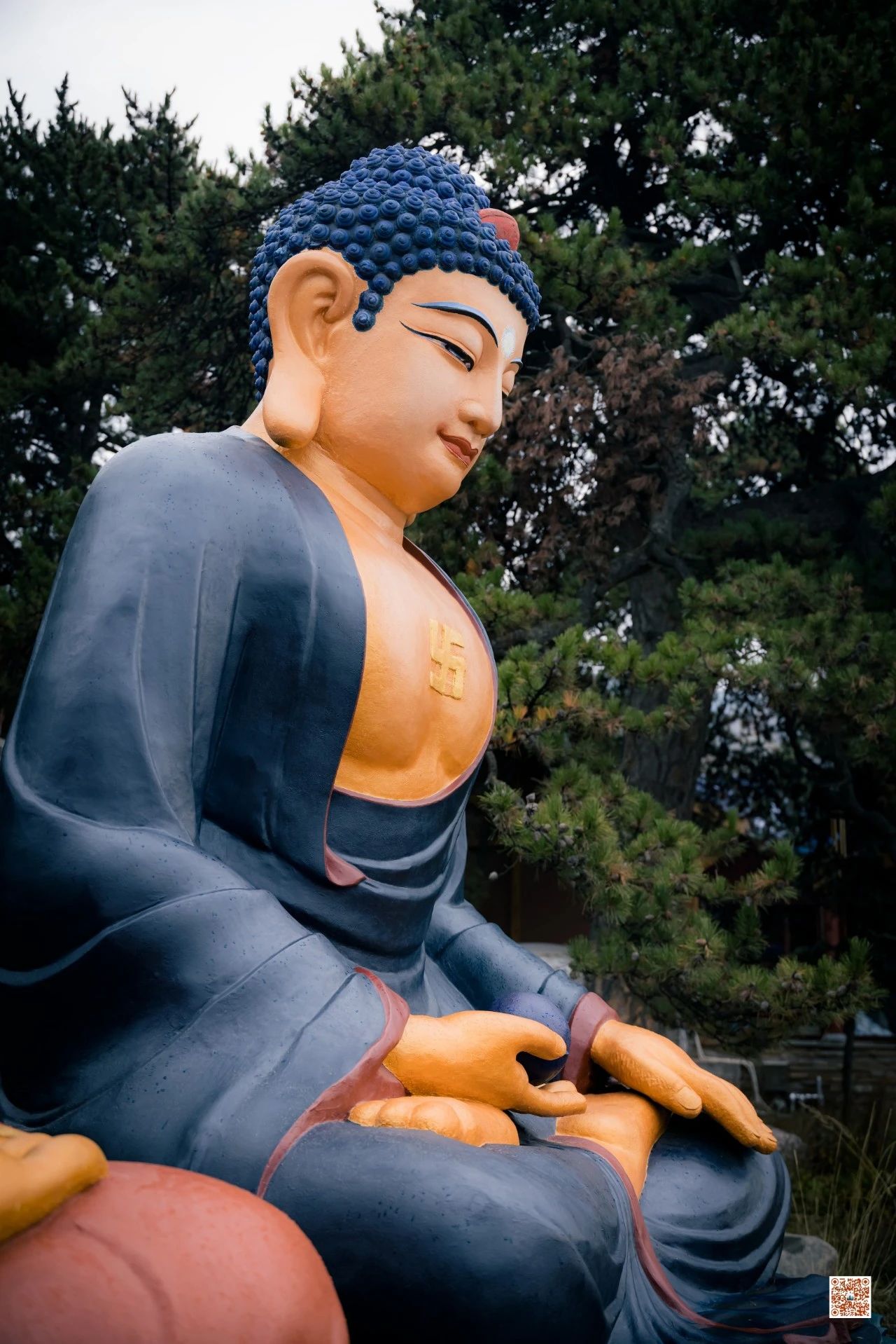 修行人什么最庄严？