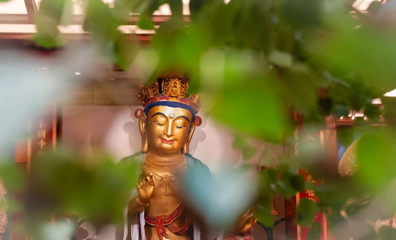 修行人什么最庄严？