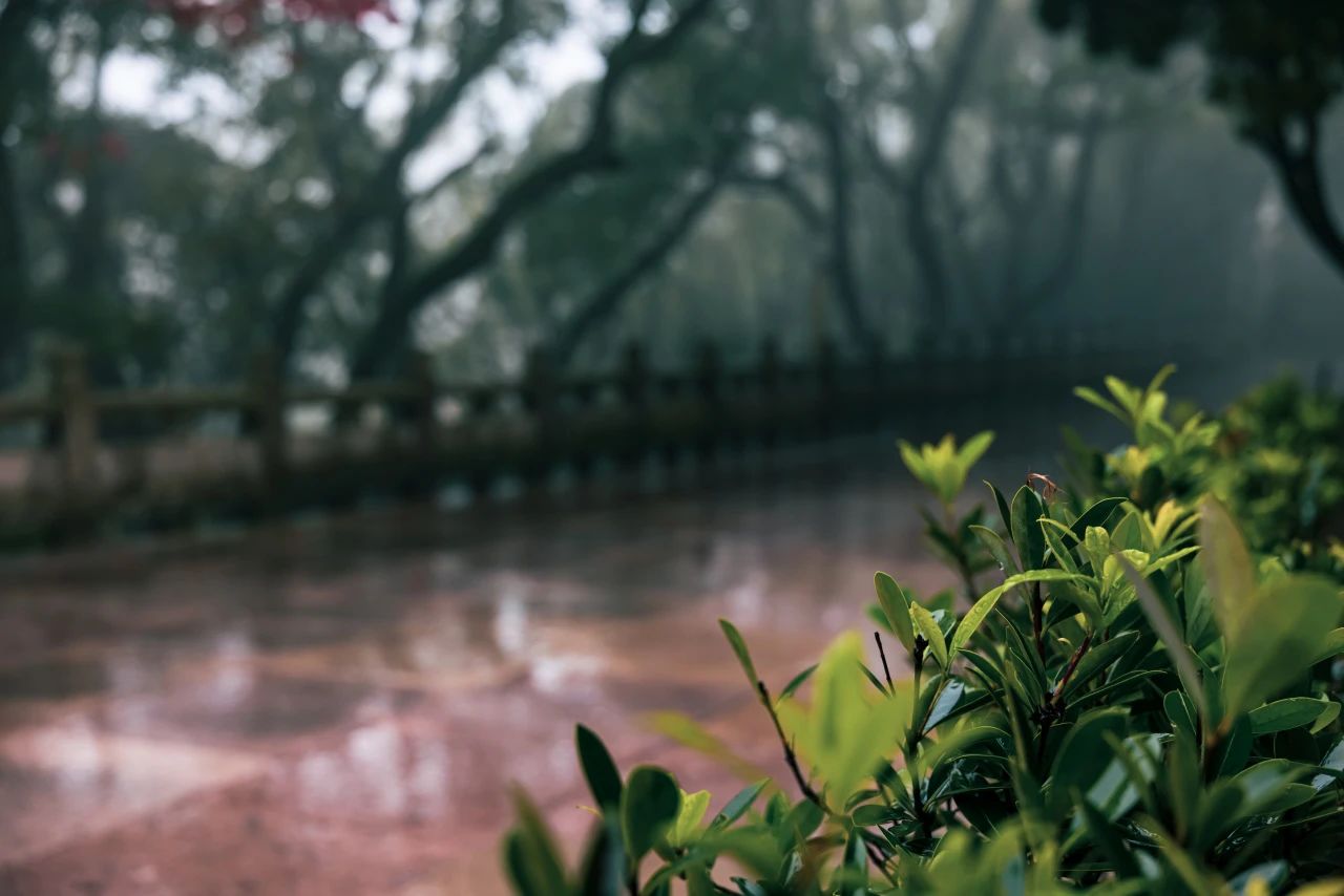 修行人什么最庄严？