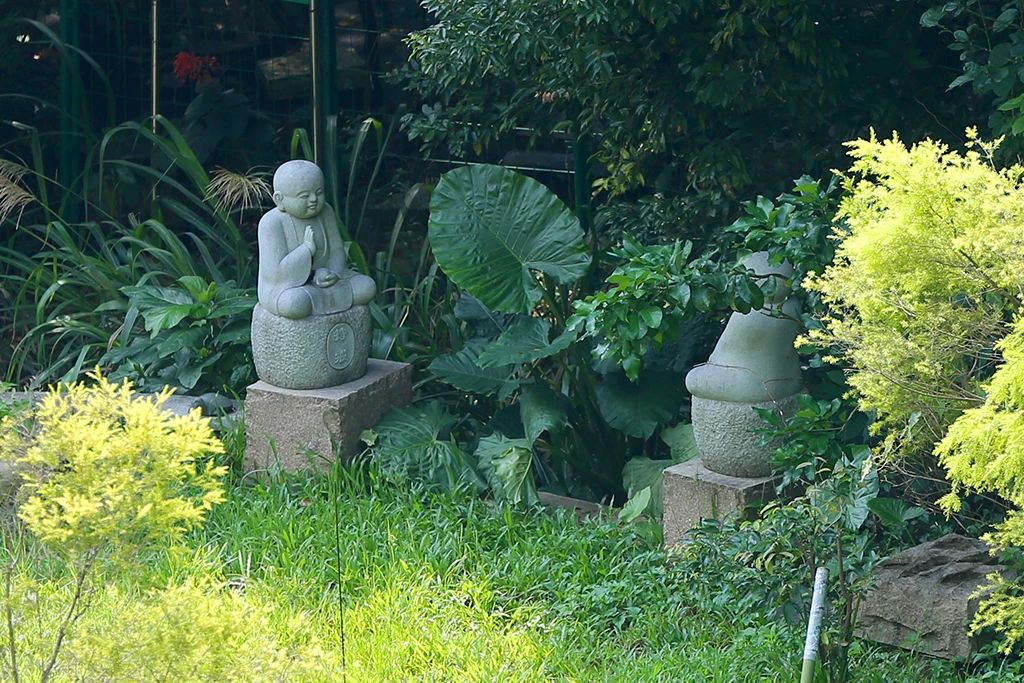 用善念照亮自己的路