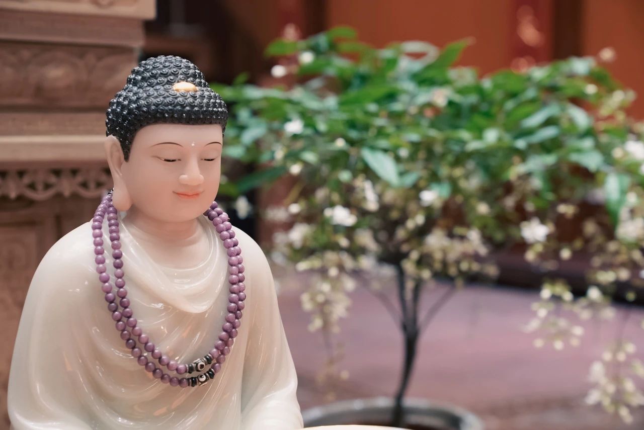 我们享的福，从这里来