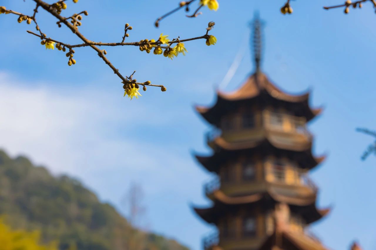 佛法不会因为简陋而打折扣