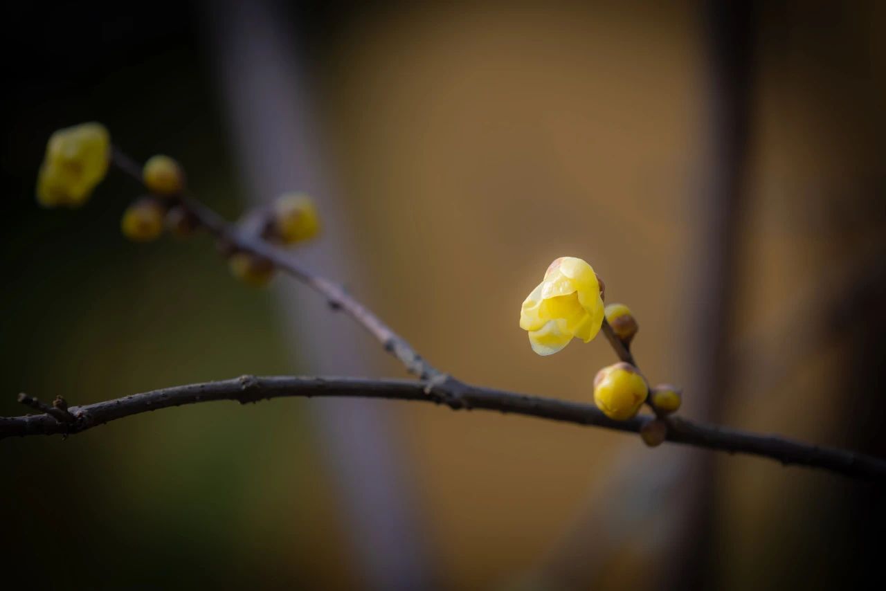 佛法不会因为简陋而打折扣
