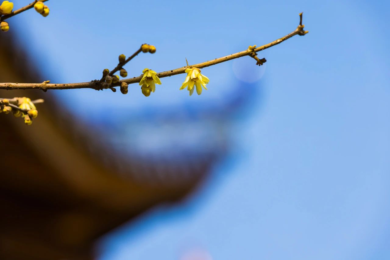 佛法不会因为简陋而打折扣