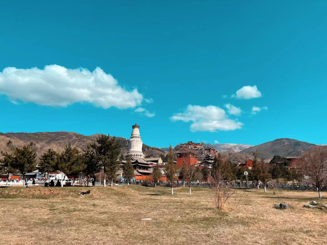 迷津宝筏，险道导师