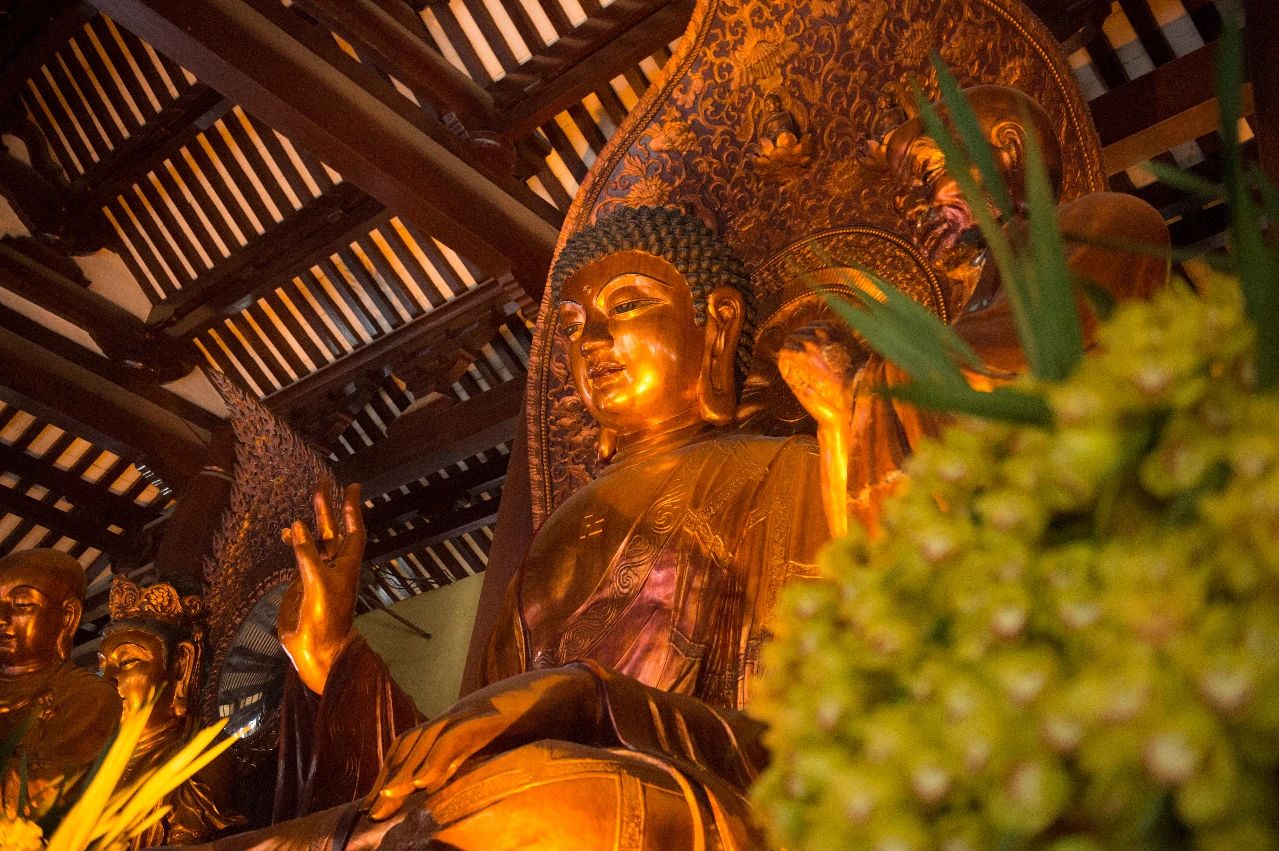 不可少善根福德因缘