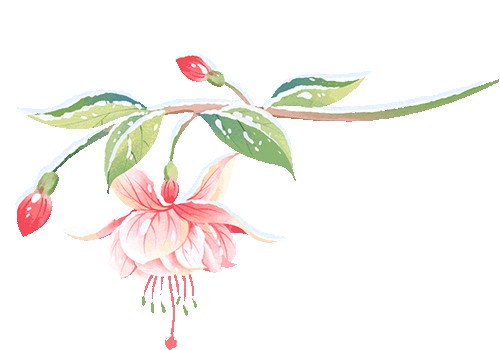 不可少善根福德因缘